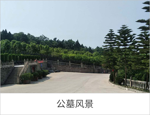 公墓风景