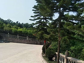 园区风景