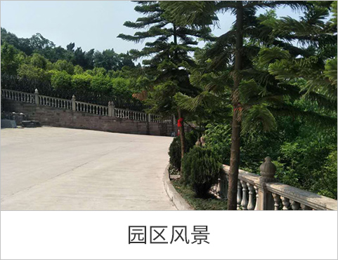 园区风景