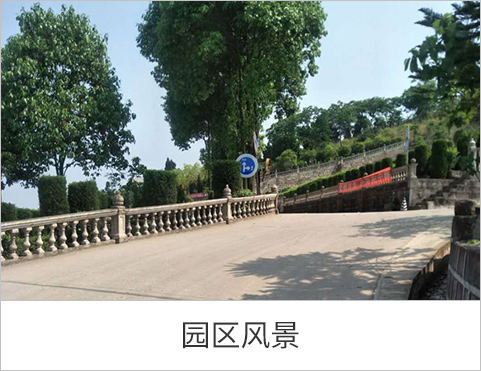 园区风景