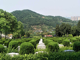 园区风景