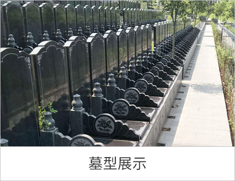墓型展示