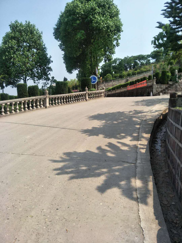 5、园区风景.jpg
