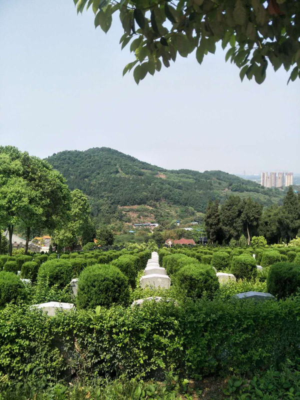 3、园区风景.jpg
